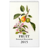 Calendrier Mural Fruit 2015 (Protection)