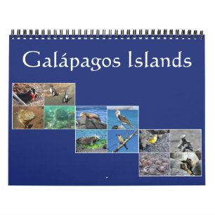 Calendrier Mural galapagos faune 2026