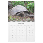 Calendrier Mural galapagos faune 2026 (Mar 2026)