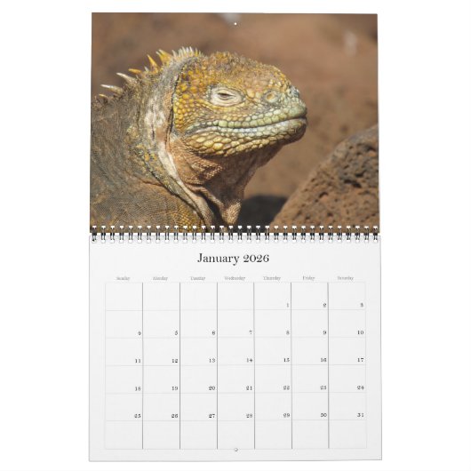 Calendrier Mural galapagos faune 2026 (Jan 2026)