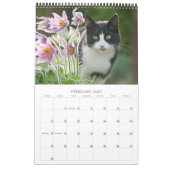Calendrier Mural Garden Cats - taille moyenne (Feb 2027)