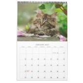 Calendrier Mural Garden Cats - taille moyenne (Jan 2027)