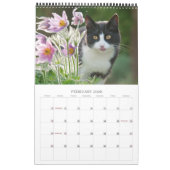 Calendrier Mural Garden Cats - taille moyenne (Feb 2026)