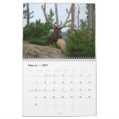 Calendrier mural gentil de supports (Feb 2027)