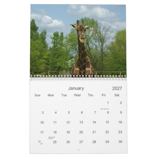 Calendrier Mural Girafes (Jan 2027)