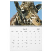 Calendrier Mural Girafes (Mar 2027)