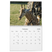 Calendrier Mural Girafes (Feb 2026)
