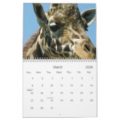 Calendrier Mural Girafes (Mar 2026)