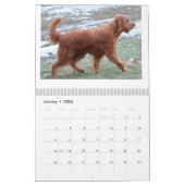Calendrier Mural Goldendoodles (Jan 2026)