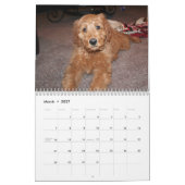 Calendrier Mural Goldendoodles (Mar 2027)