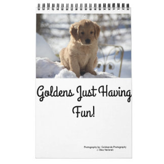 Calendrier Mural Goldens ayant juste l'amusement