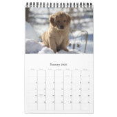 Calendrier Mural Goldens ayant juste l'amusement (Jan 2026)