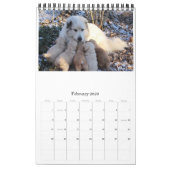 Calendrier Mural Goldens ayant juste l'amusement (Feb 2026)