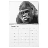 Calendrier Mural Gorilla (Jan 2027)