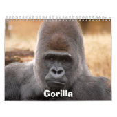 Calendrier Mural Gorilla_018, gorille (Protection)