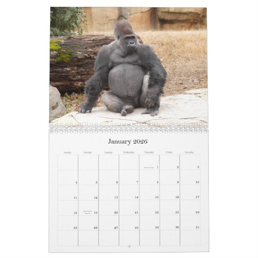 Calendrier Mural Gorilla_018, gorille (Jan 2026)