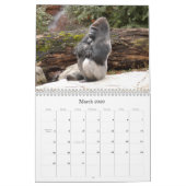 Calendrier Mural Gorilla_018, gorille (Mar 2026)
