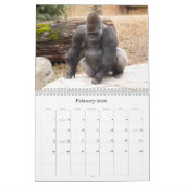 Calendrier Mural Gorilla_018, gorille (Feb 2026)