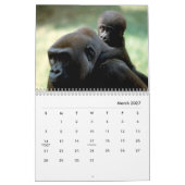 Calendrier mural Gorillas (Mar 2027)