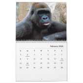 Calendrier mural Gorillas (Feb 2026)