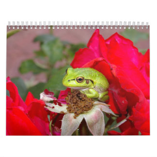 Calendrier Mural Grenouilles 2009