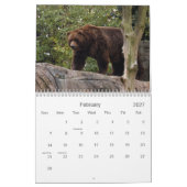 Calendrier Mural grizzly-bear-017, ours gris (Feb 2027)