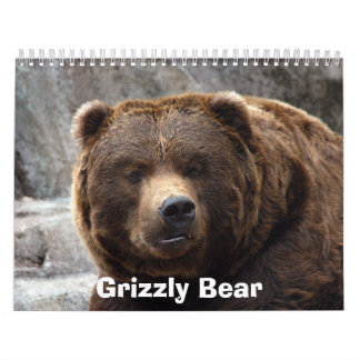 Calendrier Mural grizzly-bear-017, ours gris
