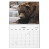 Calendrier Mural grizzly-bear-017, ours gris (Jan 2026)