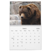 Calendrier Mural grizzly-bear-017, ours gris (Mar 2026)