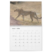 Calendrier Mural Guépard 2008 (Mar 2026)