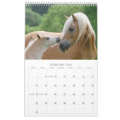 Calendrier Mural Haflinger pouline 2017 (Feb 2027)