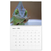 Calendrier Mural Have A Smile All Year Calendar 2023 (Mar 2026)