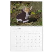 Calendrier Mural Have A Smile All Year Calendar 2023 (Jan 2026)