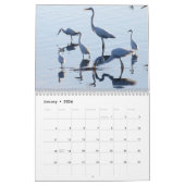 Calendrier Mural Hérons et hérons (Jan 2026)