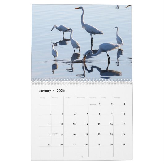 Calendrier Mural Hérons et hérons (Jan 2026)