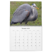 Calendrier Mural Herons grands et petits (Jan 2026)