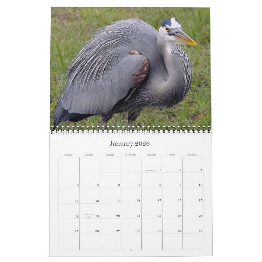 Calendrier Mural Herons grands et petits (Jan 2026)