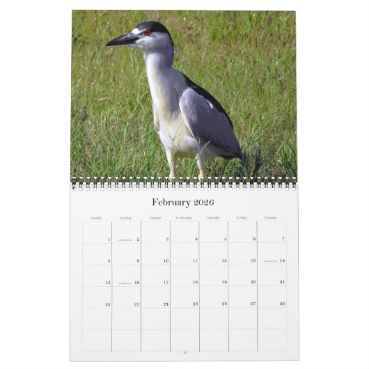 Calendrier Mural Herons grands et petits (Feb 2026)