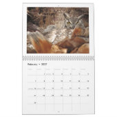 Calendrier Mural Hiboux de maman et de bébé dans un palmier (Feb 2027)