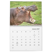 Calendrier mural Hippopotame (Jan 2027)