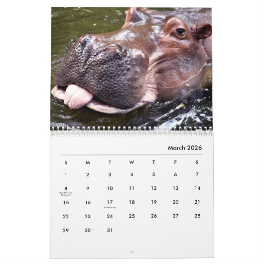 Calendrier mural Hippopotame (Mar 2026)