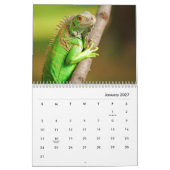 Calendrier mural Iguana (Jan 2027)