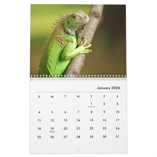 Calendrier mural Iguana (Jan 2026)