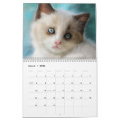 Calendrier Mural Il tombe des cordes ! (Mar 2026)