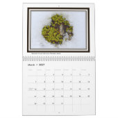 Calendrier Mural Images des Alpes (Mar 2027)