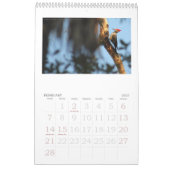 Calendrier Mural images des everglades, floride (Feb 2027)