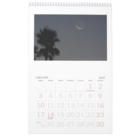 Calendrier Mural images des everglades, floride (Jan 2027)