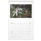 Calendrier Mural images des everglades, floride (Mar 2027)