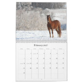 Calendrier Mural Images équines 2011 (Feb 2027)