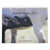 Calendrier Mural Images équines 2011 (Protection)